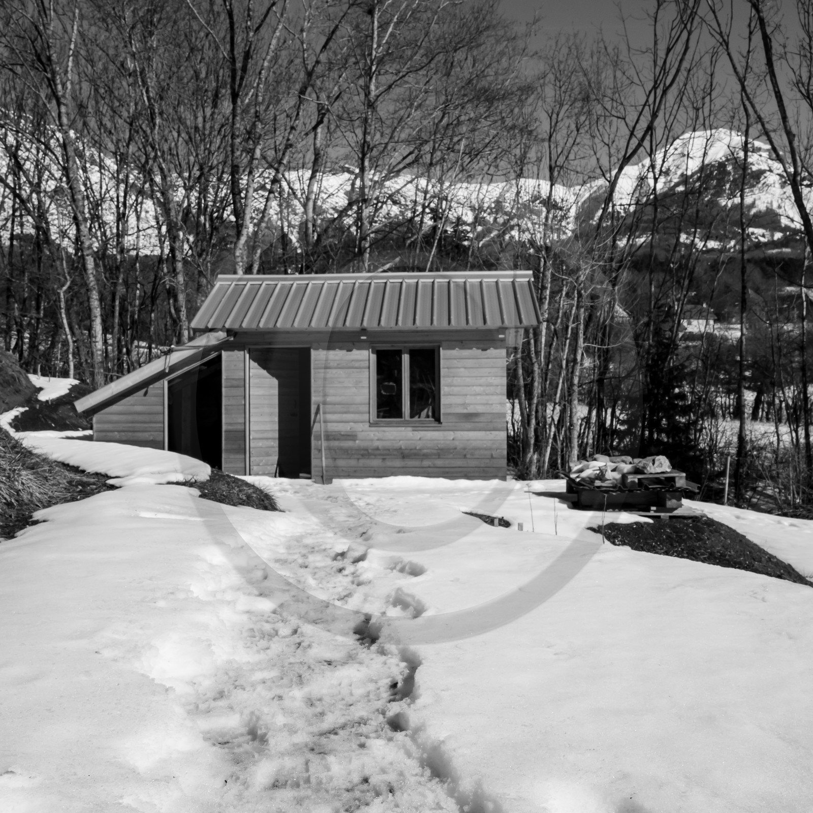 06 février 2019 : la pose des nichoirs