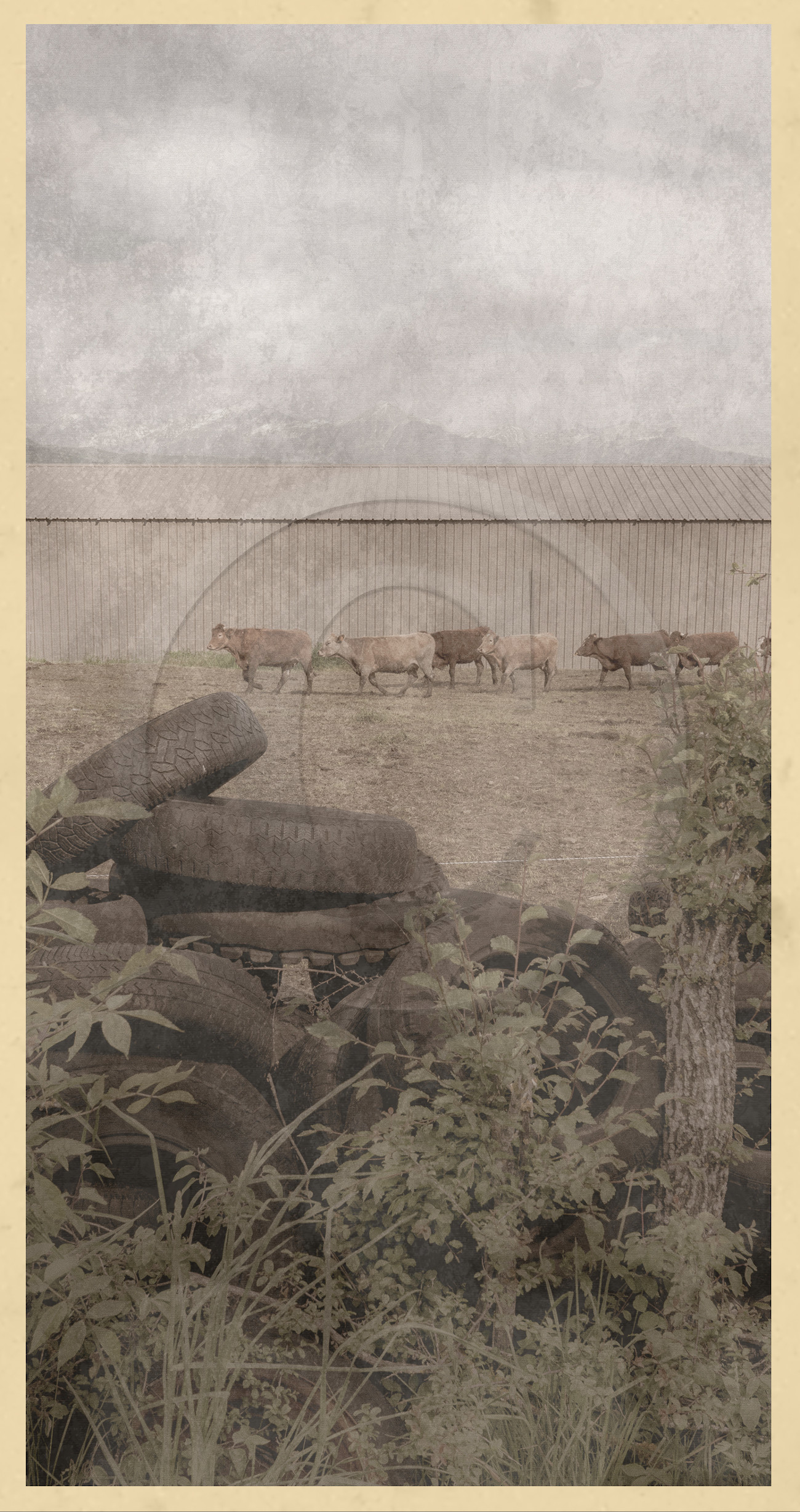 Le kilomètre dérogatoire Le kilomètre dérogatoire