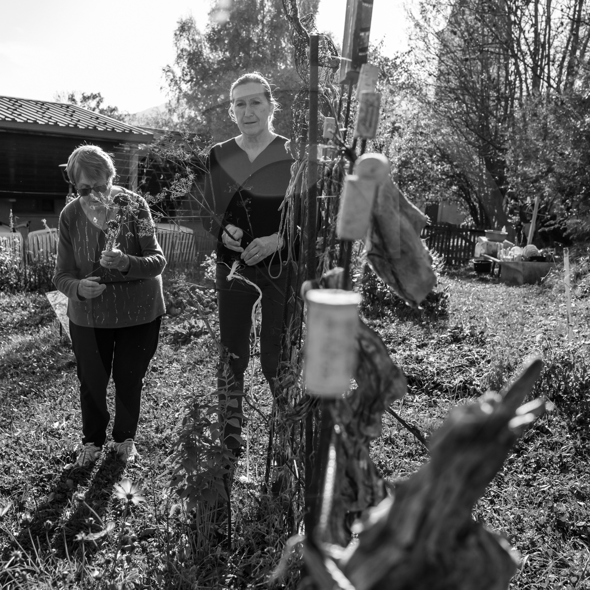 26 octobre 2022 : dernier mercredi de la saison à l'Ouort