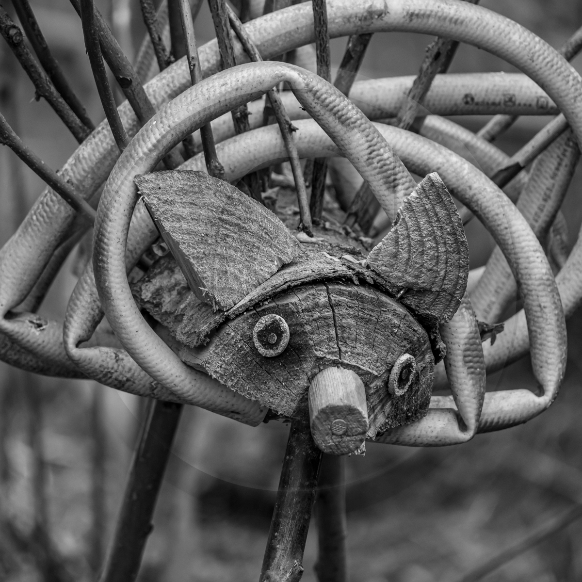 20 avril 2022 : des contes, des pommes de terre et un petit café