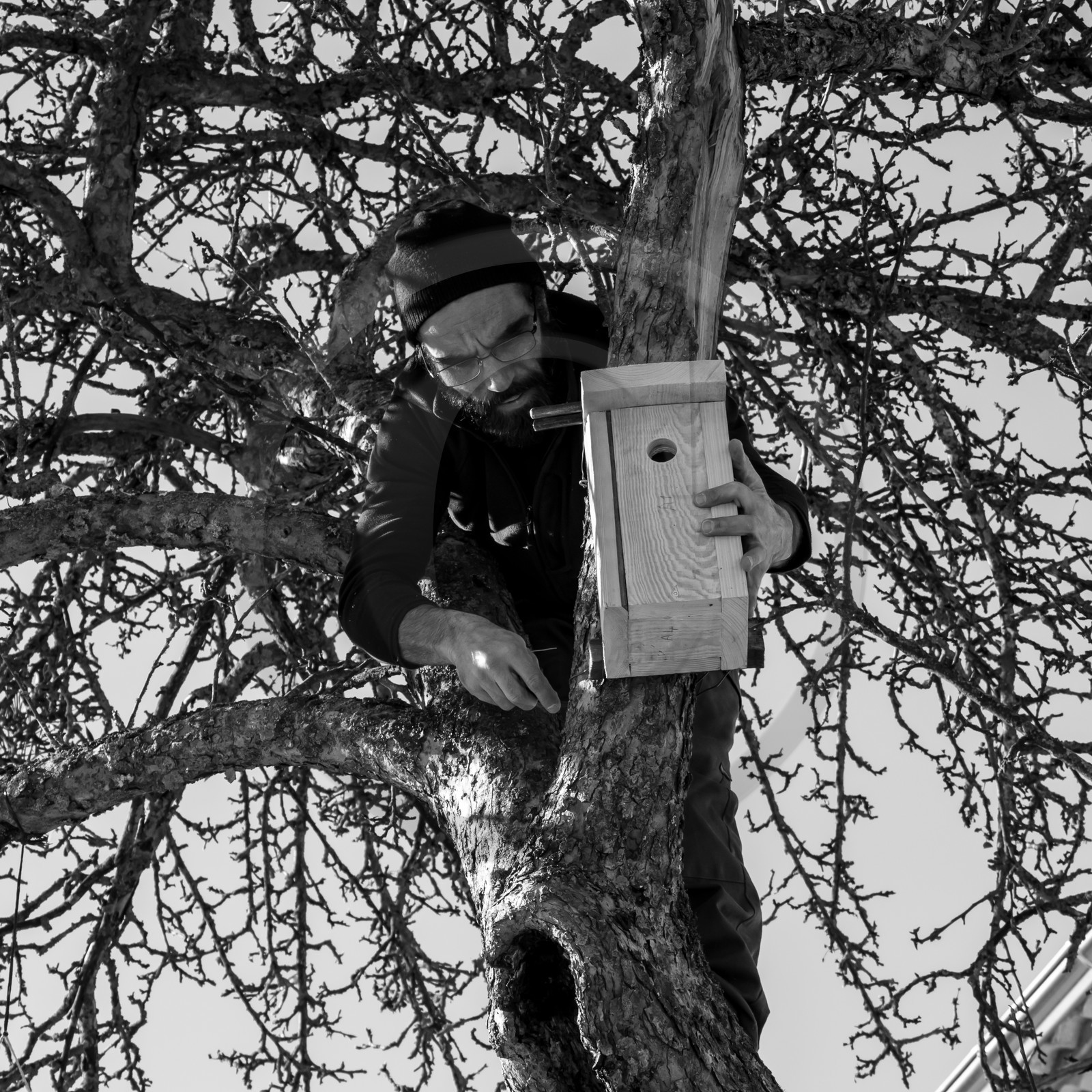 06 février 2019 : la pose des nichoirs