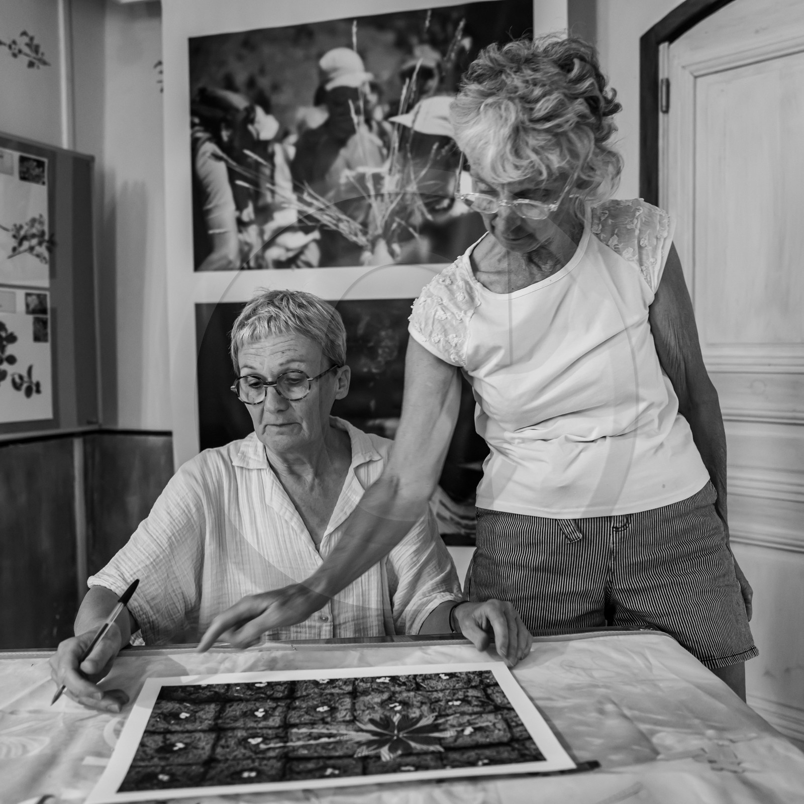 28 août 2024 : A la Maison de la Botanique du Noyer en Champsaur. Visite de l'exposition L comme laine, lien, lieu. Lectures par Les Colporteurs. Collages sur les photographies de Denis Lebioda 28 août 2024 : A la Maison de la Botanique du Noyer en Champsaur. Visite de l'exposition L comme laine, lien, lieu. Lectures par Les Colporteurs. Collages sur les photographies de Denis Lebioda