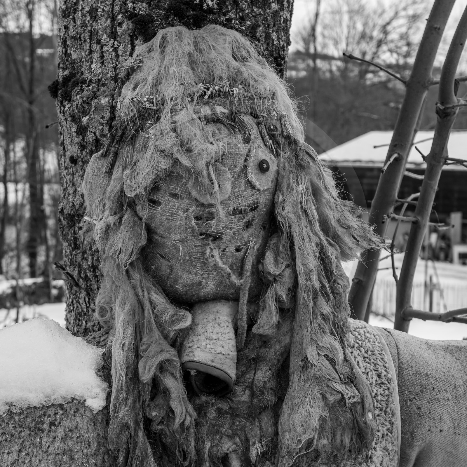 21 janvier 2021 : l'Ouort sous la neige