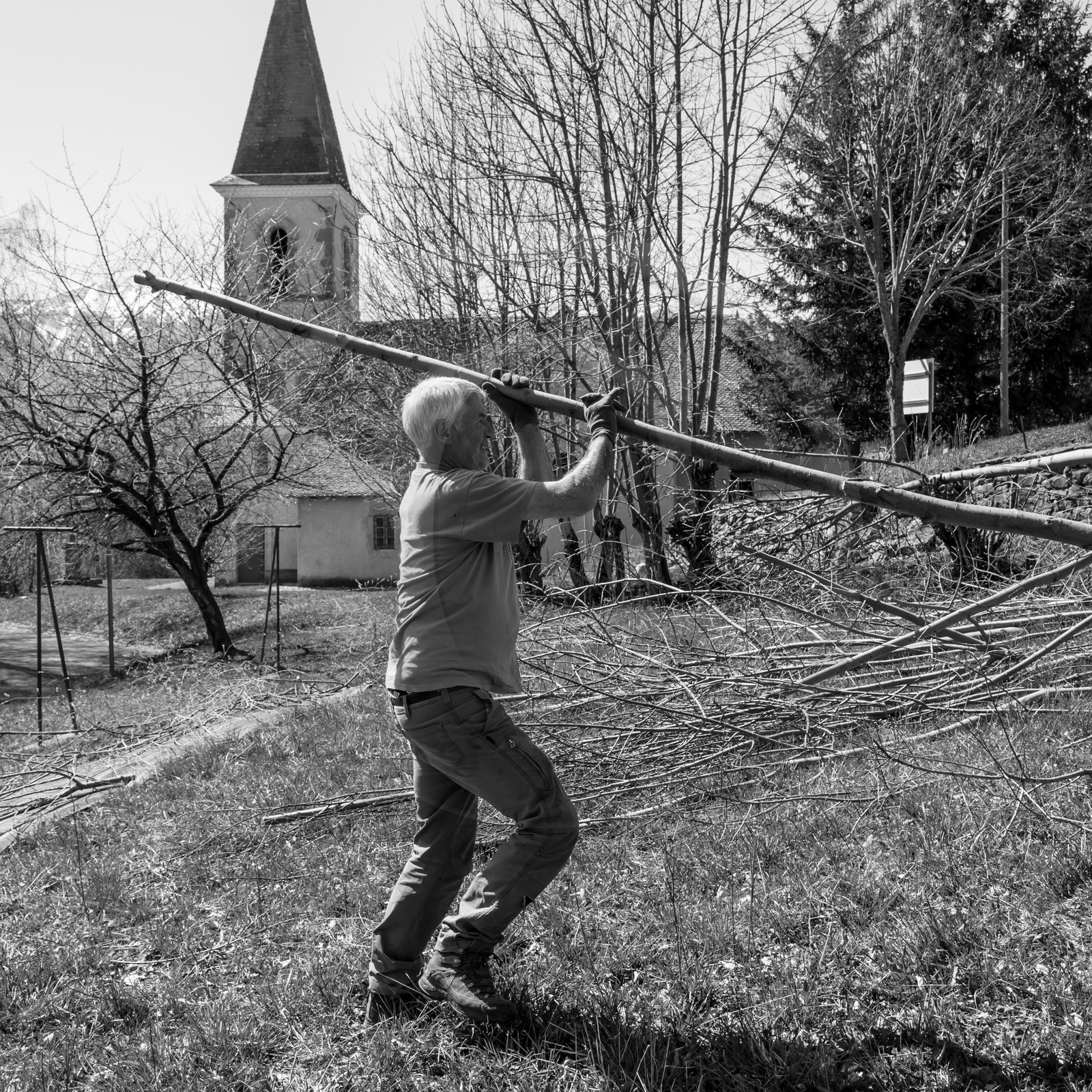 Nettoyage du terrain - Coupe du bois - 29 03 17