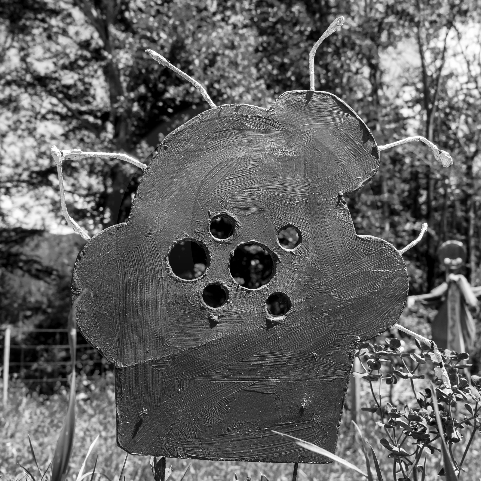 12 juin 2019 : Après-midi au jardin 12 juin 2019 : Après-midi au jardin