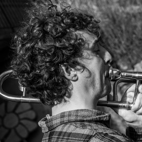 26 octobre 2025 : Les oiseaux de trottoir