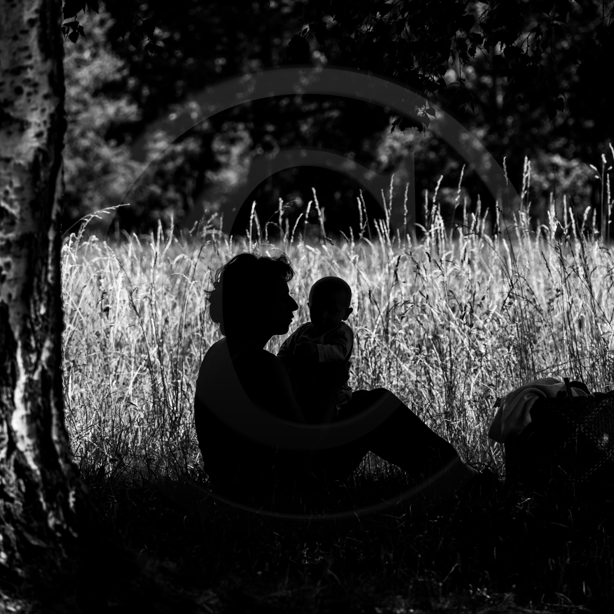 06 juillet 2022 : Sieste Musicale