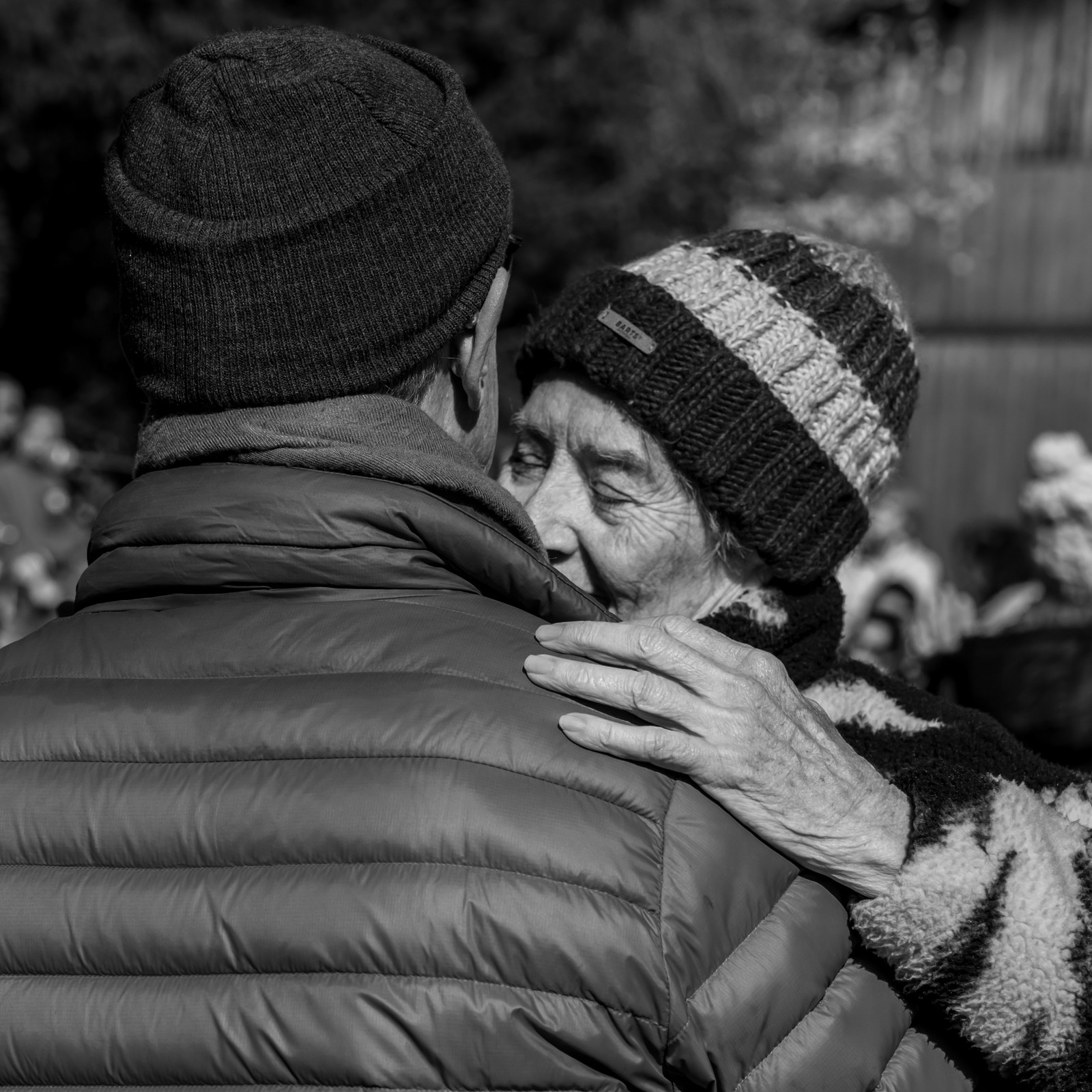 26 octobre 2025 : Les oiseaux de trottoir