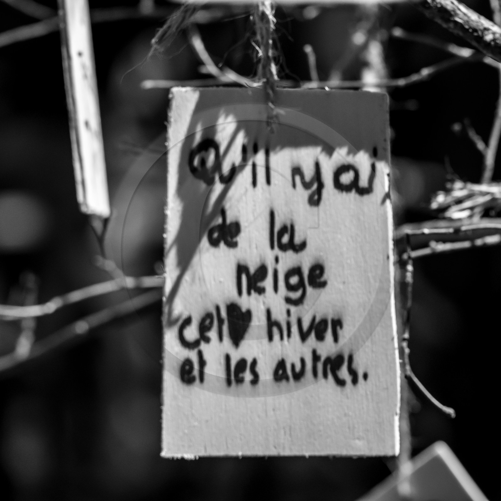 L'écho des mots