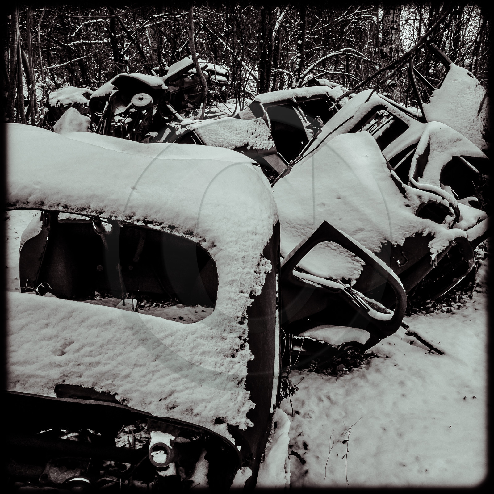 Un cimetière de voitures