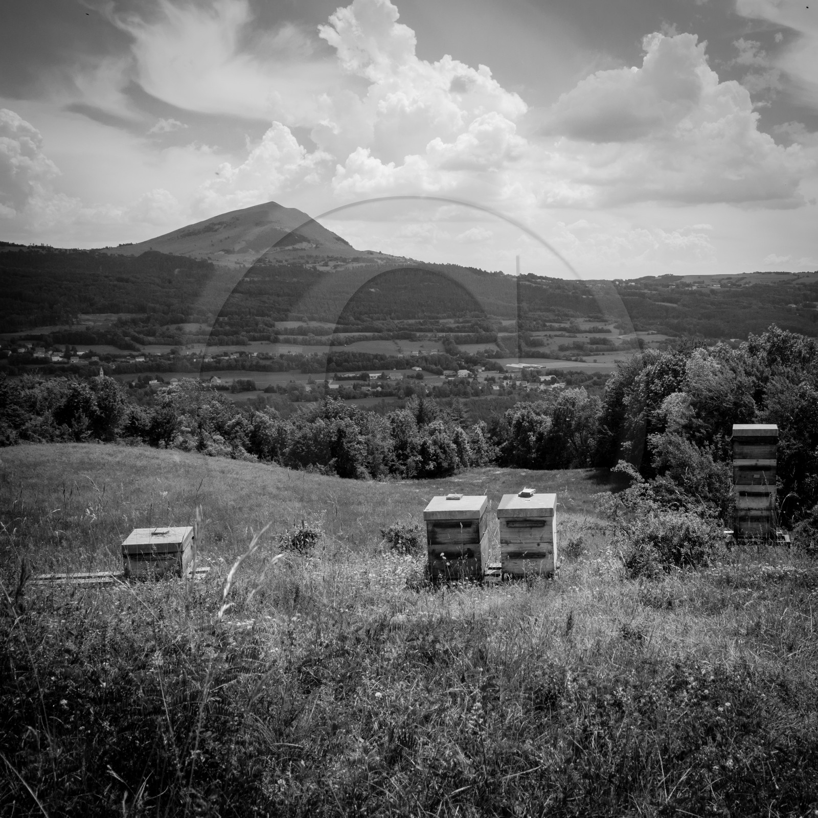 Visite au Rucher des Noisetiers