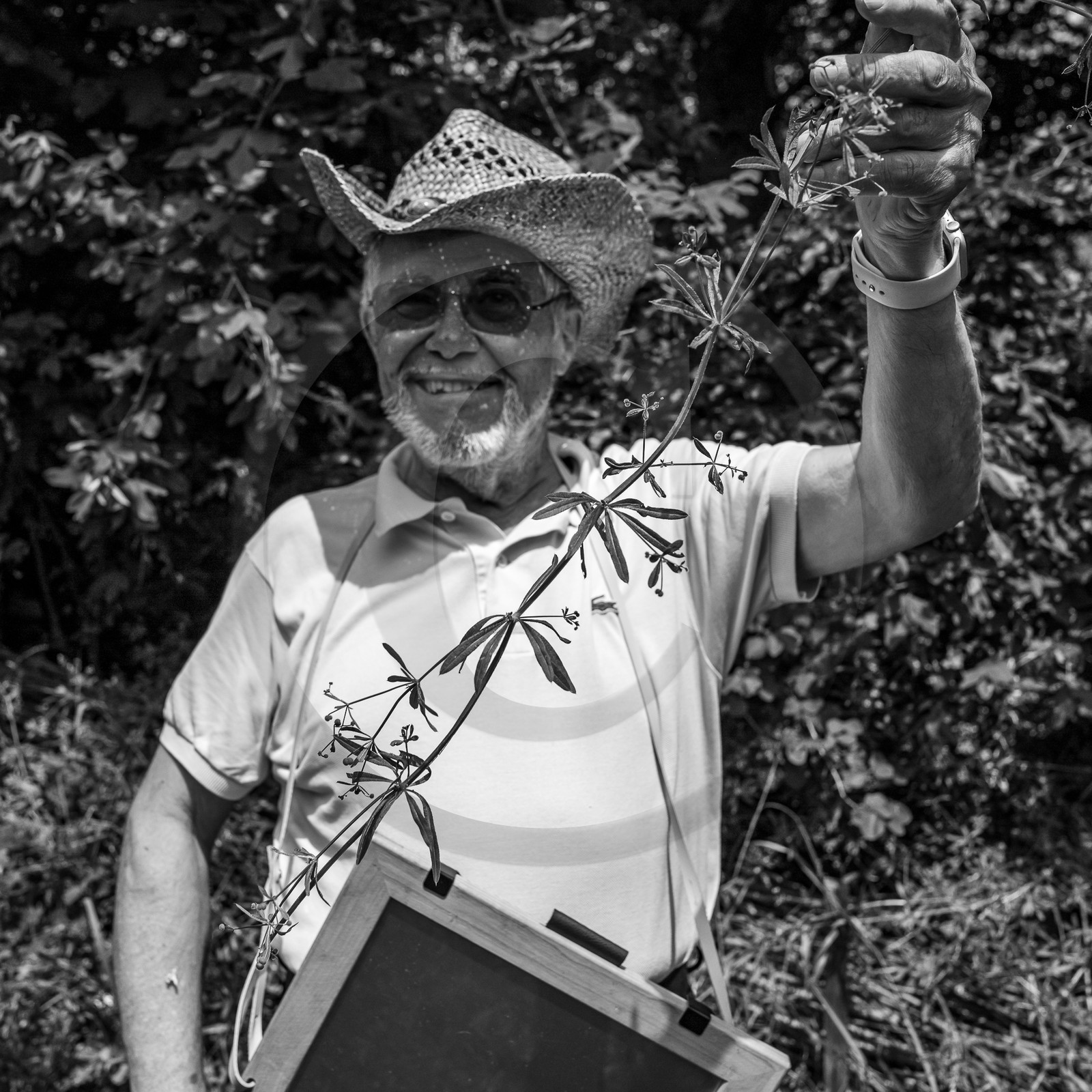 21 juin 2023 : Découverte botanique