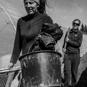 Montage de serres tunnel