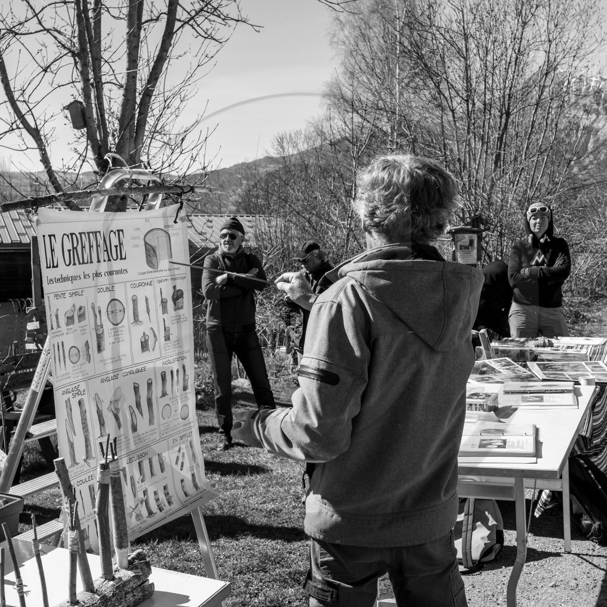 10 avril 2022 : Initiation à la greffe d'arbres fruitiers