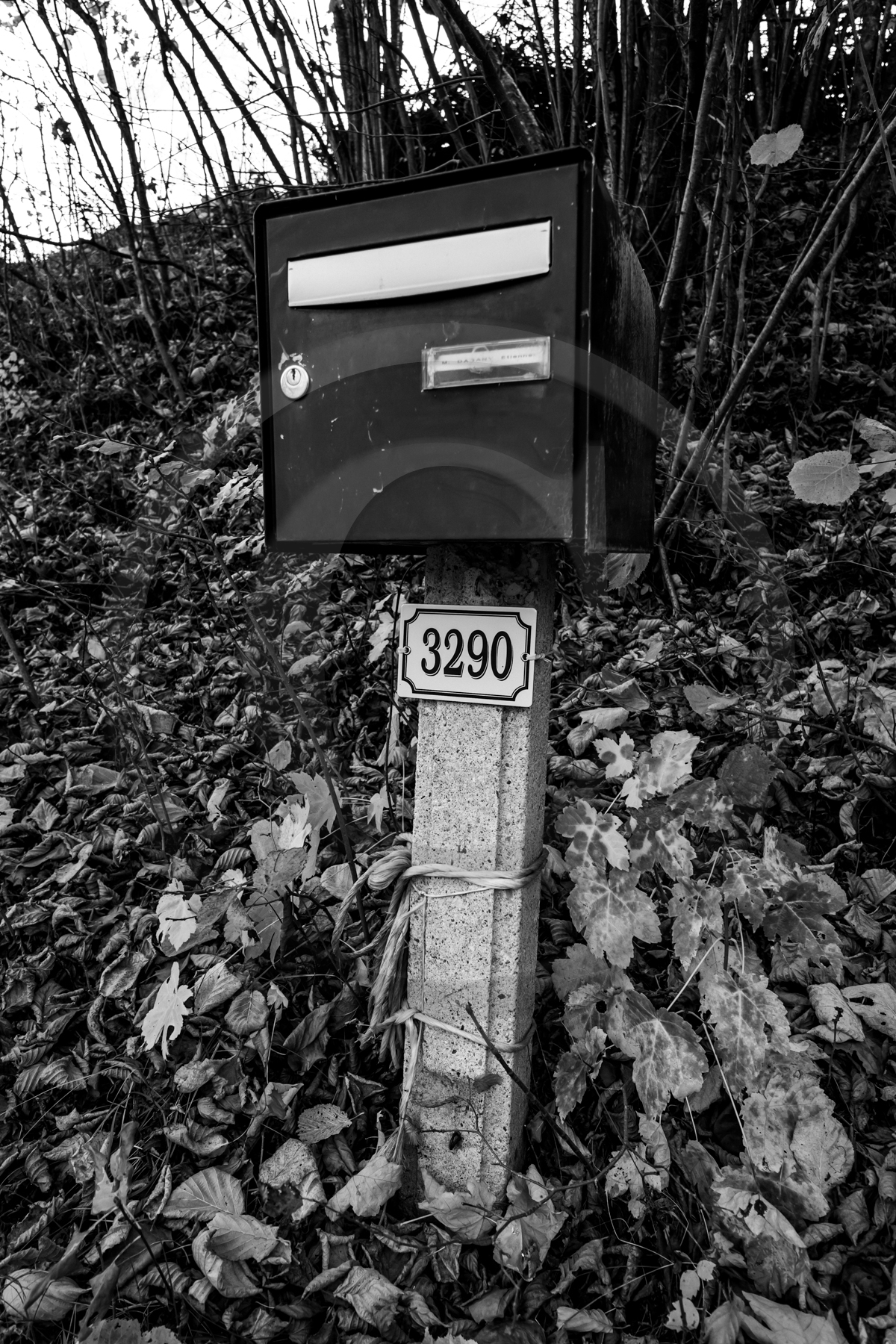 Des chiffres et des lettres