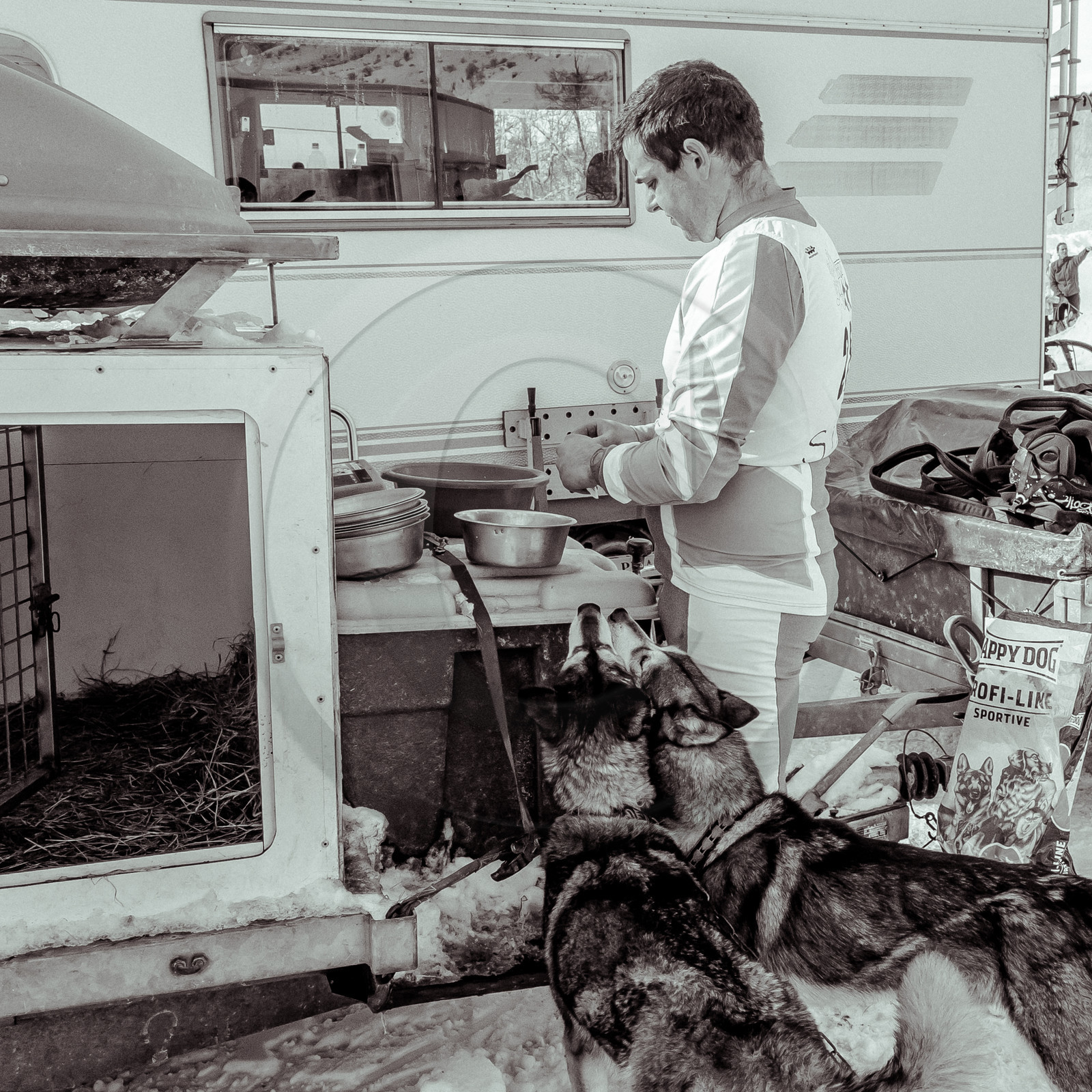 La Valgaude Traineau 2015