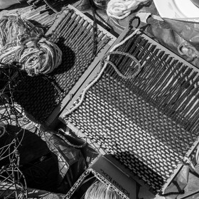 Atelier laine et promenade au jardin