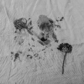 29 août 2025 : Journée des aidants