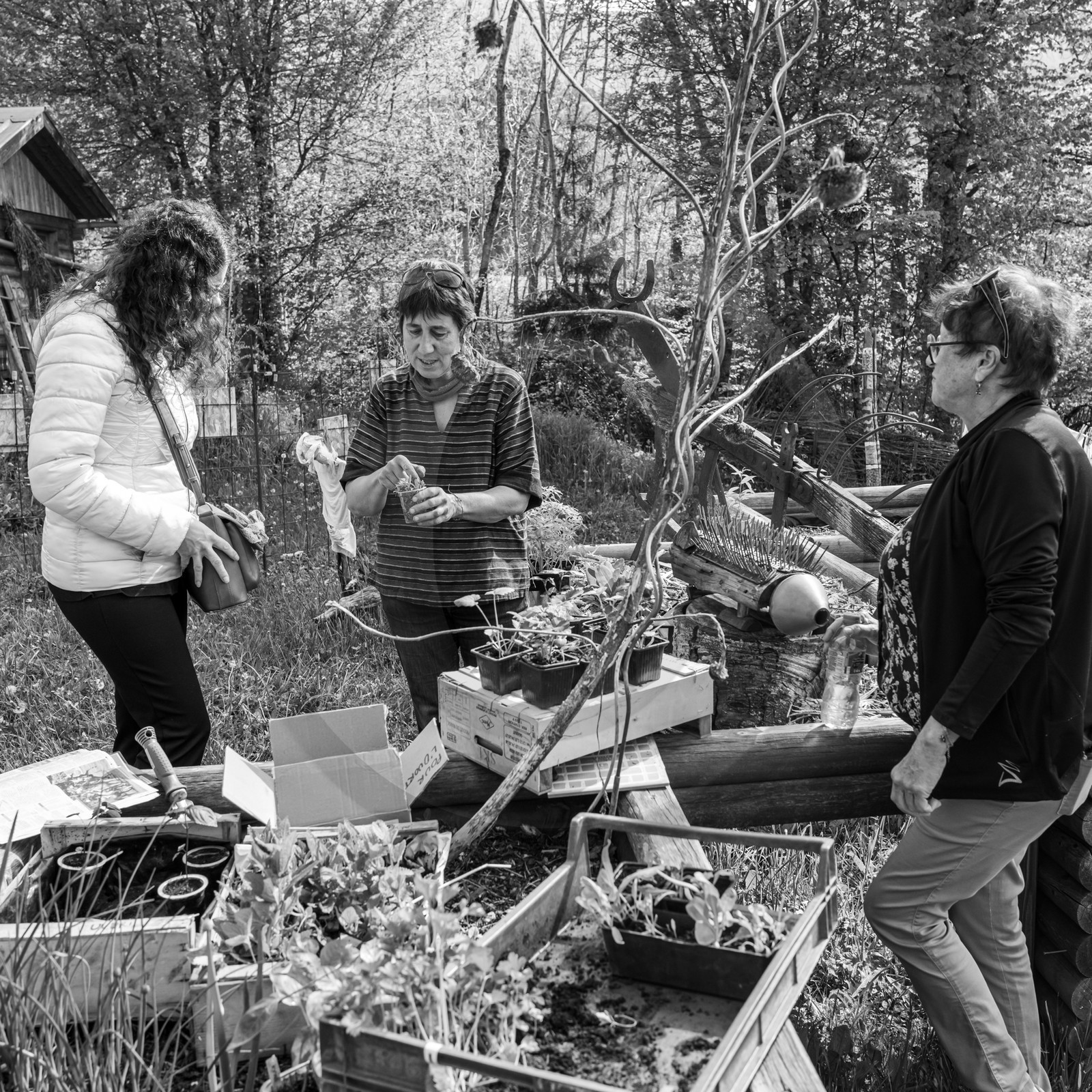 12 mai 2024 : vide-jardin et marché de créateurs