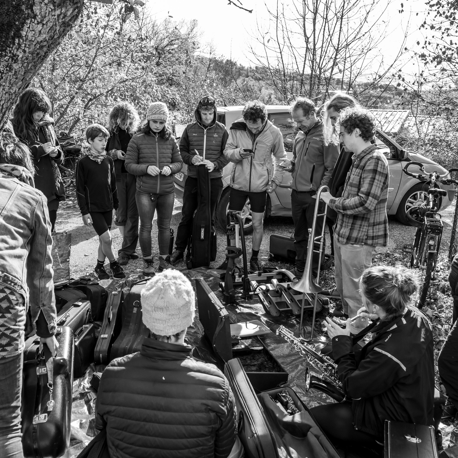 26 octobre 2025 : Les oiseaux de trottoir