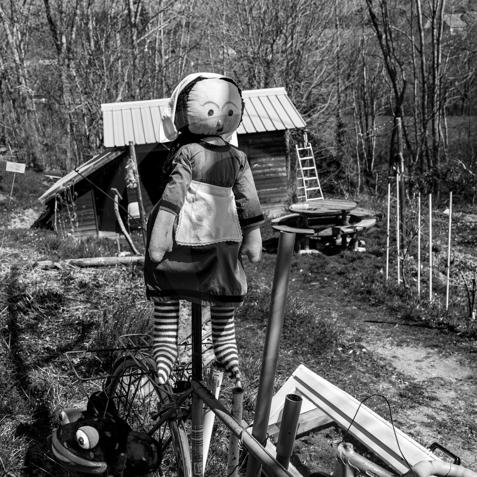 05 avril 2023 : C'est la reprise à l'Ouort