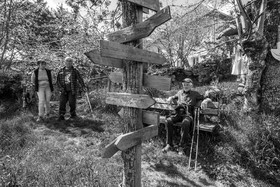 30 avril 2025 : Un oiseau en osier