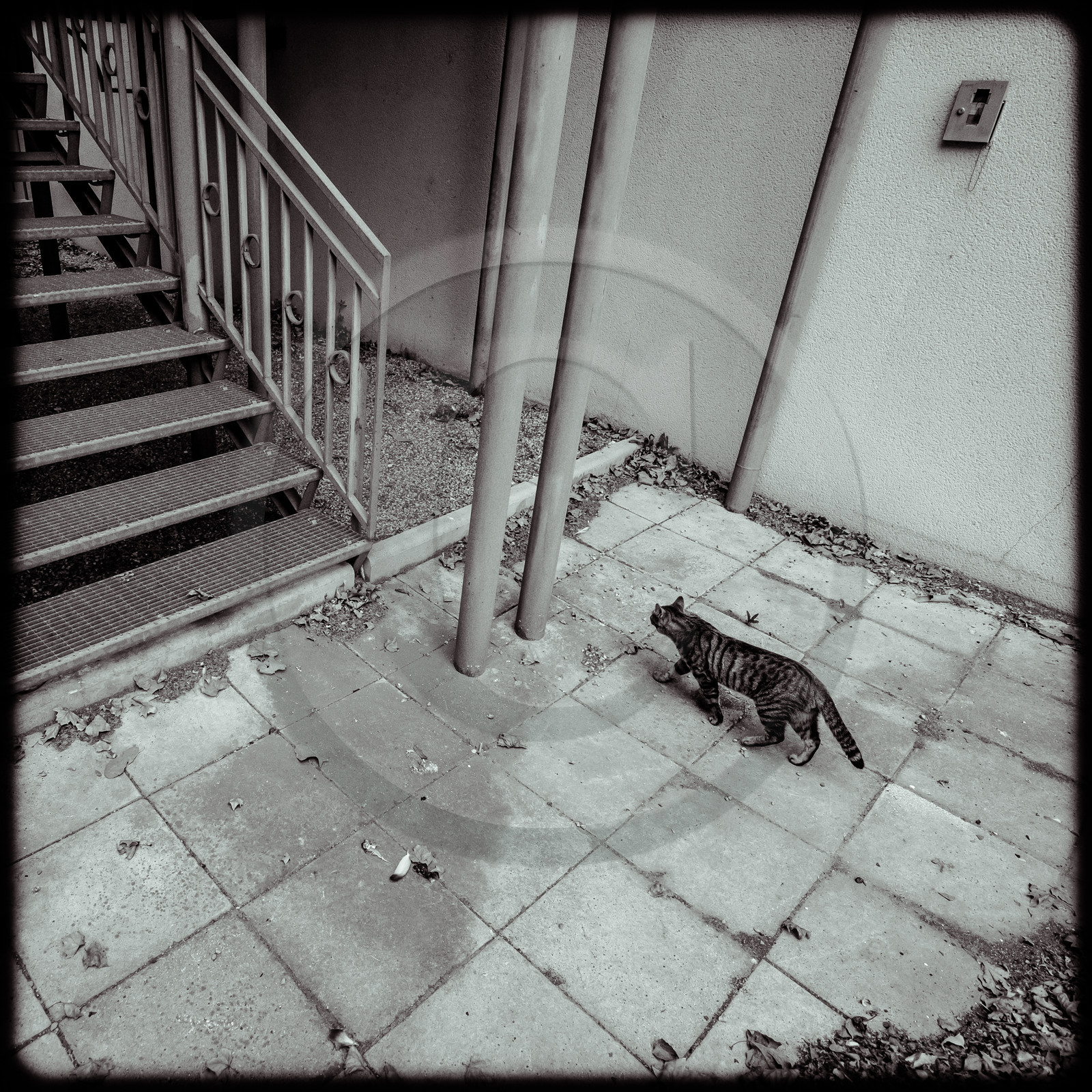 L'esprit d'escalier