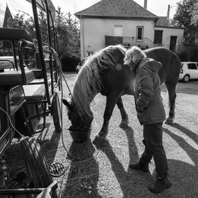 25 septembre 2019 : Promenade en calèche