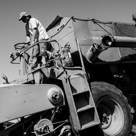 Les moissons dans le Champsaur