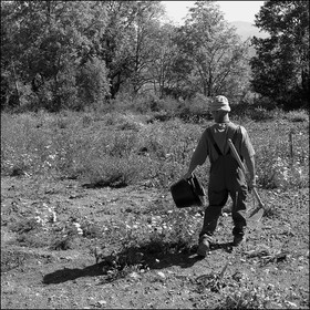 Maraichage à Pelleautier