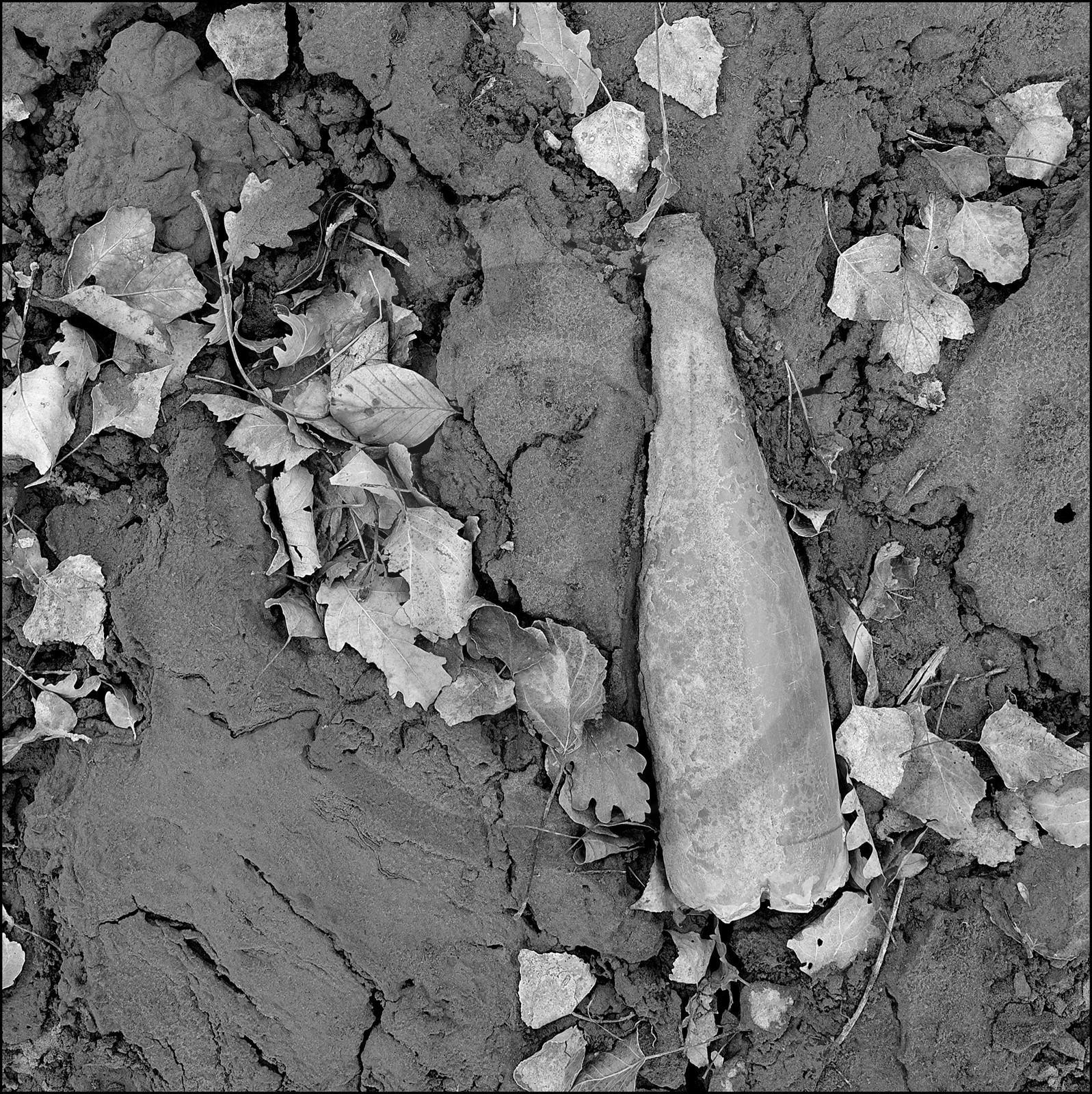 Serre-Ponçon, basses eaux Serre-Ponçon, basses eaux