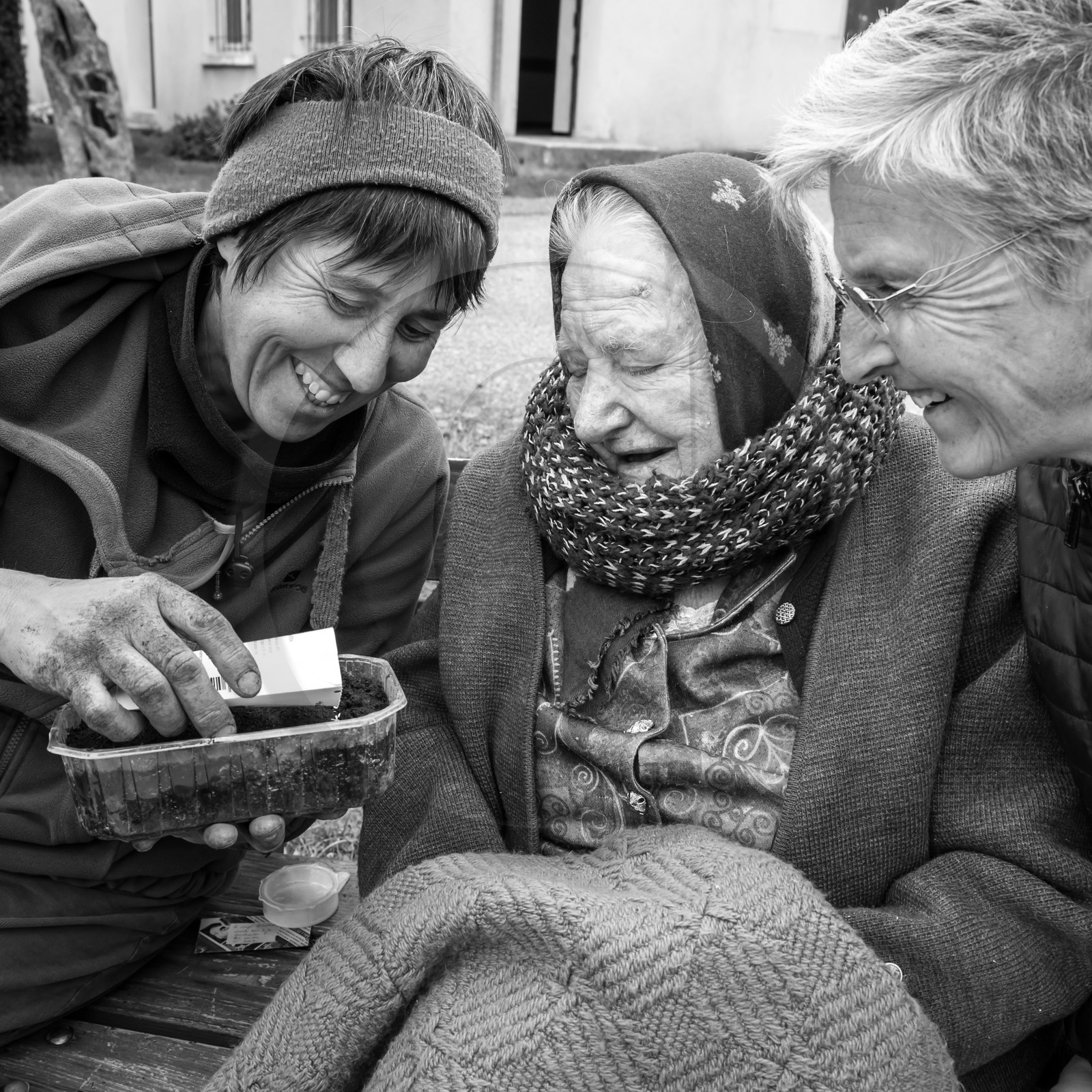 03 mai 2017 - Bac, semis et plantations