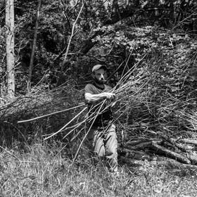 07 juin 2017 - Plantation - Haie - Réunion