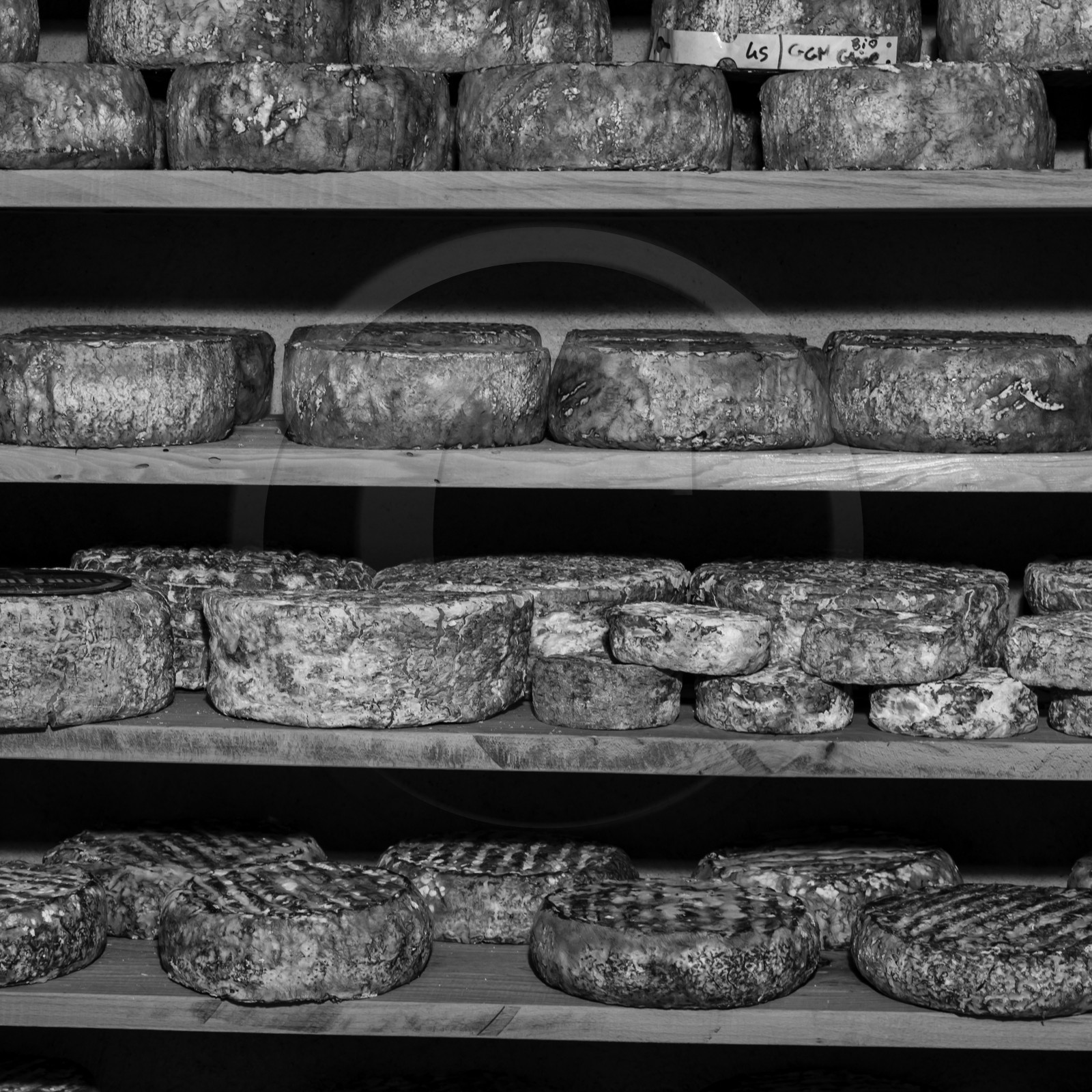 Le GAEC des Counières