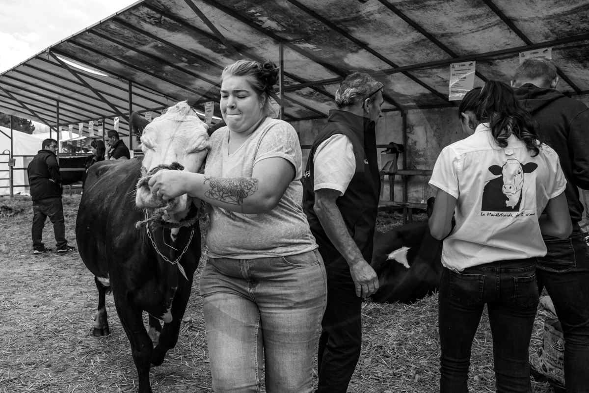 Rencontres paysannes à Saint-Bonnet en Champsaur