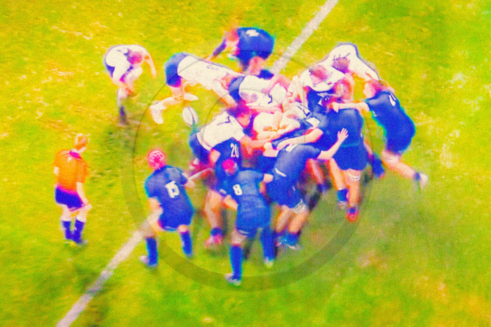 Rugby féminin Rugby féminin