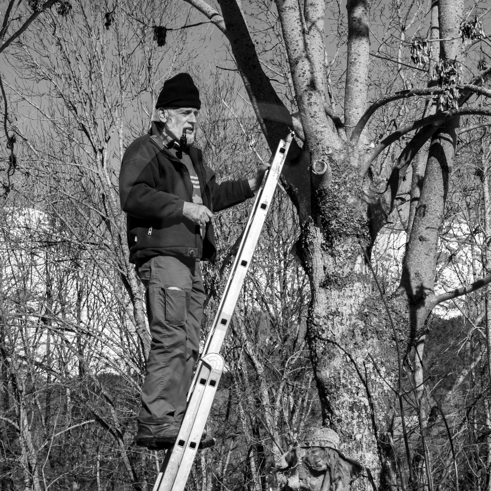 06 février 2019 : la pose des nichoirs
