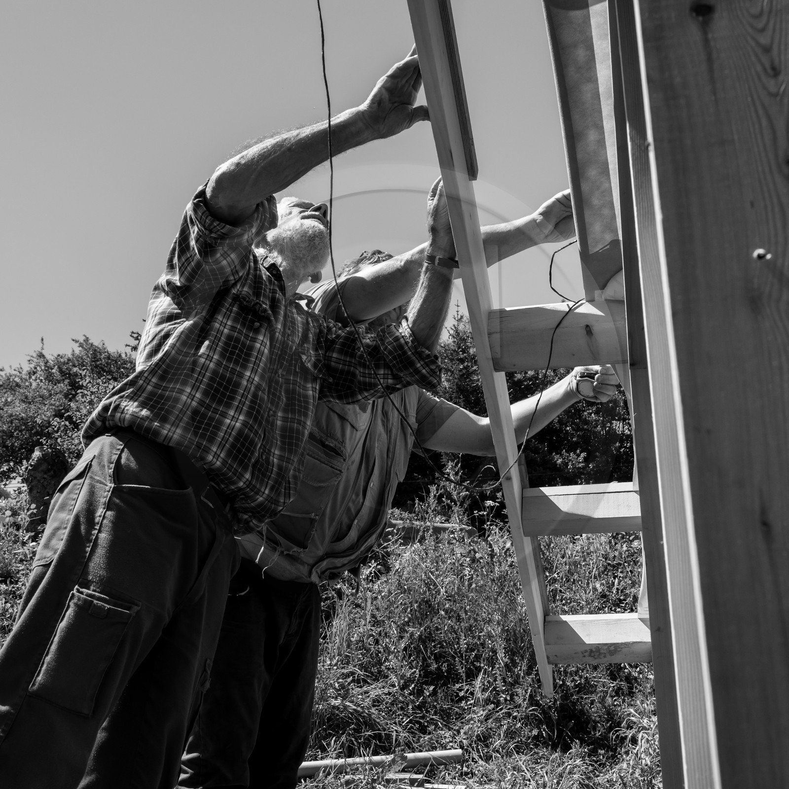 Construction d'une cabane