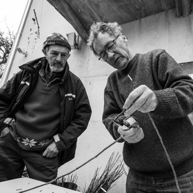 03 avril 2019 : Initiation à la greffe d'arbres fruitiers