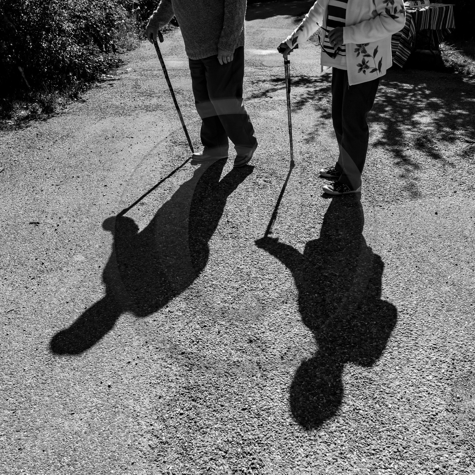 22 septembre 2021 : plein d'activités à l'Ouort