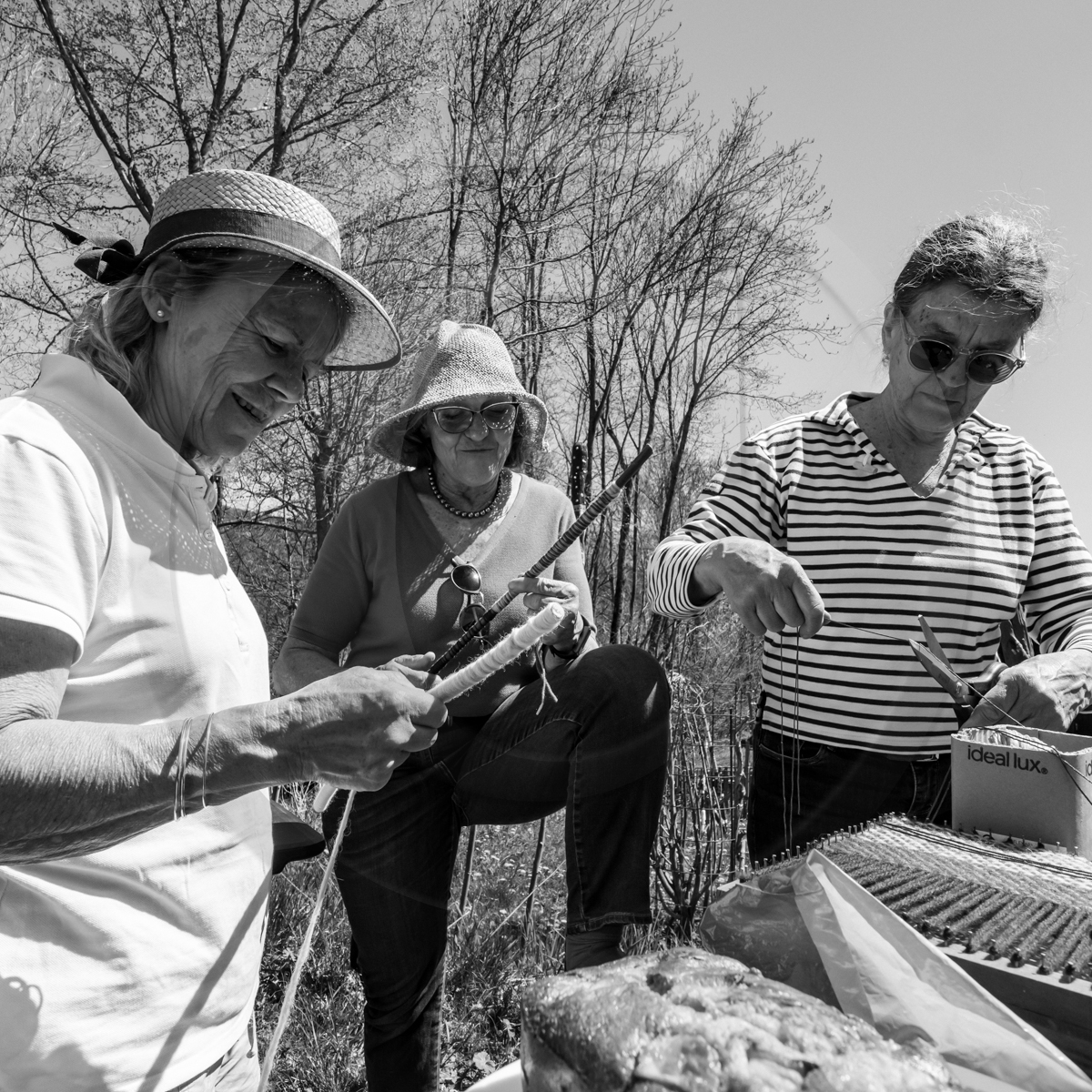 Atelier laine et promenade au jardin