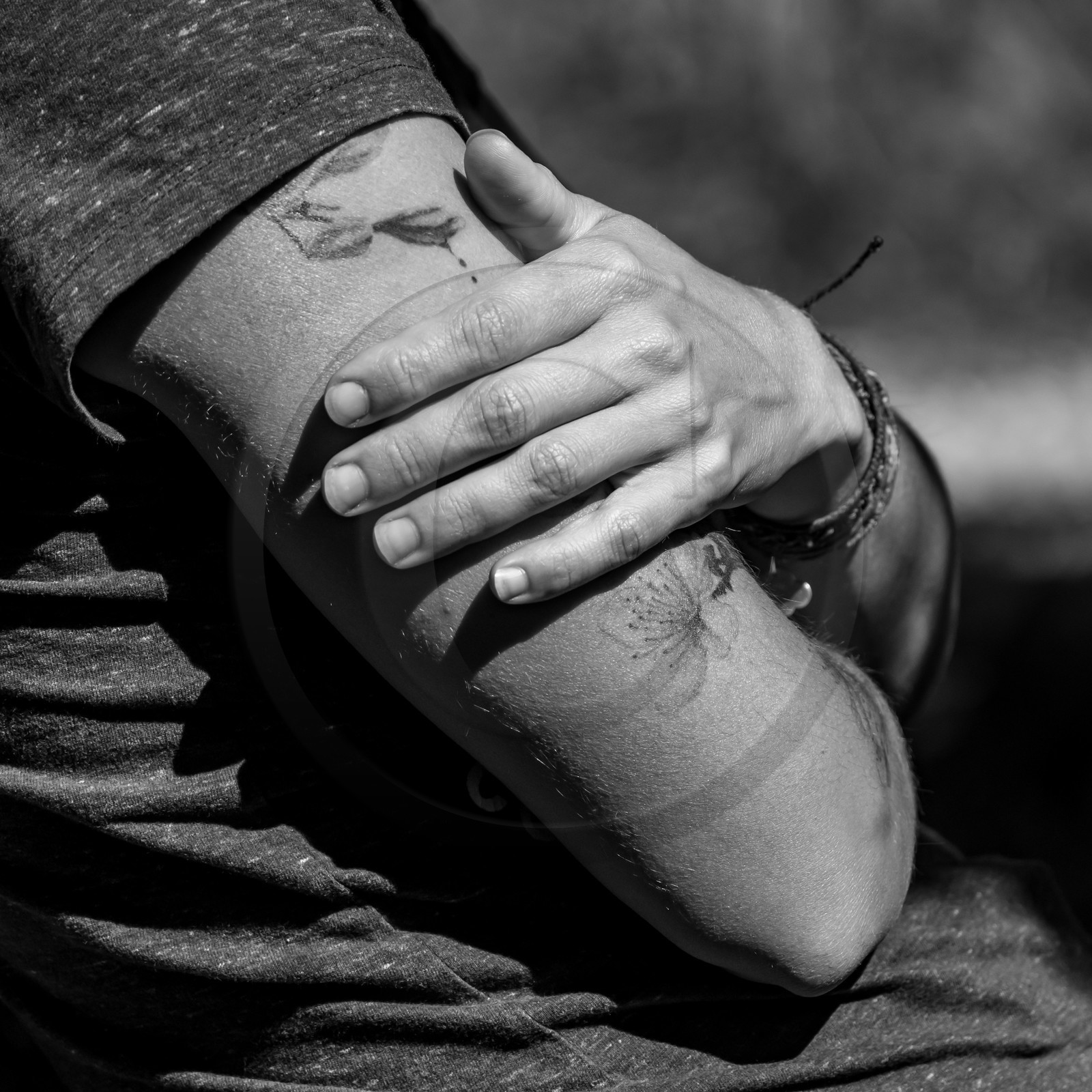 01 septembre 2021 : Promenade en cariole et contes