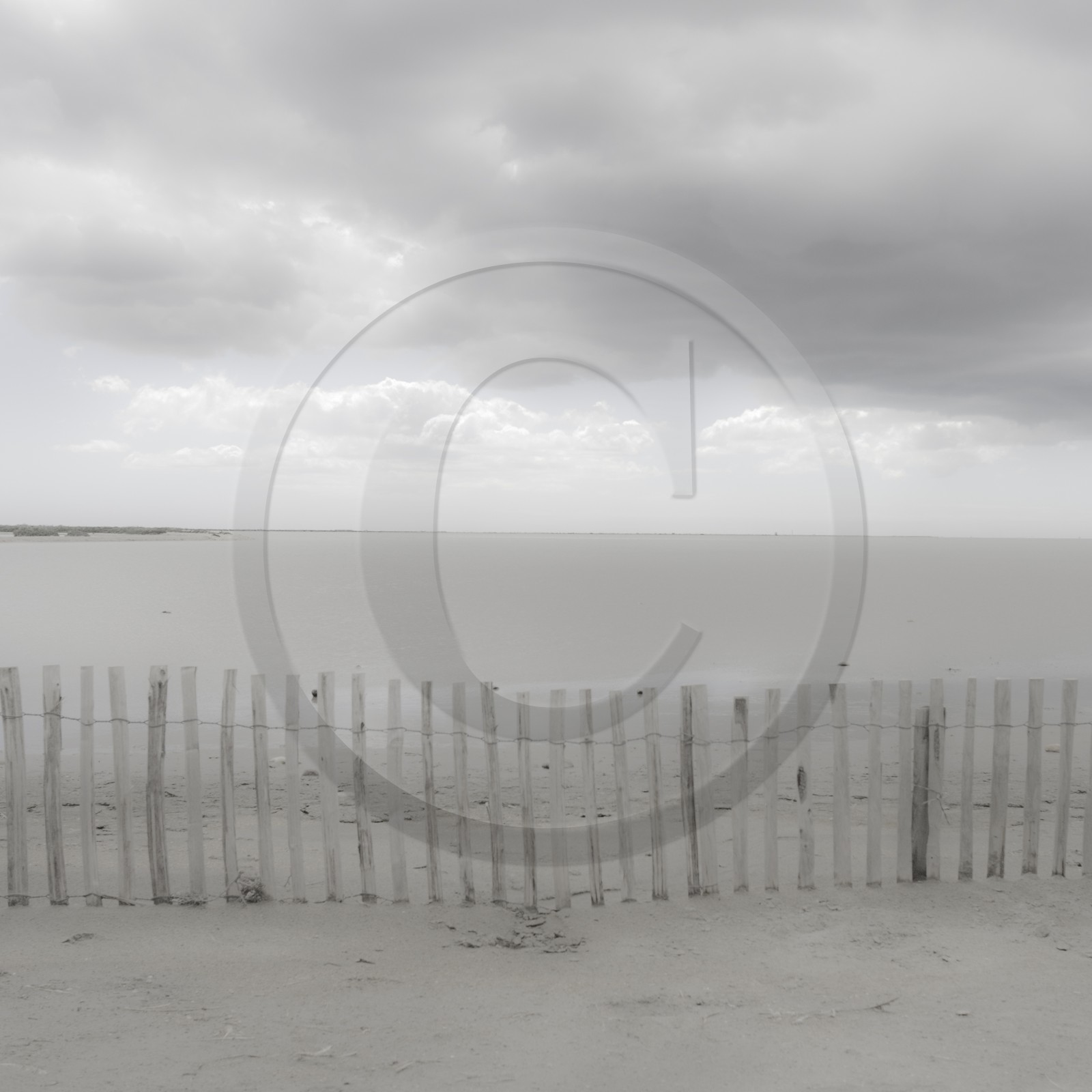 Camargue couleur pastel