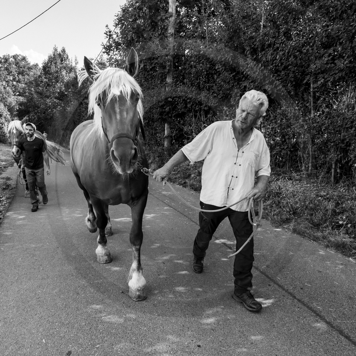 Jeanne Bleuse - Festival de Chaillol