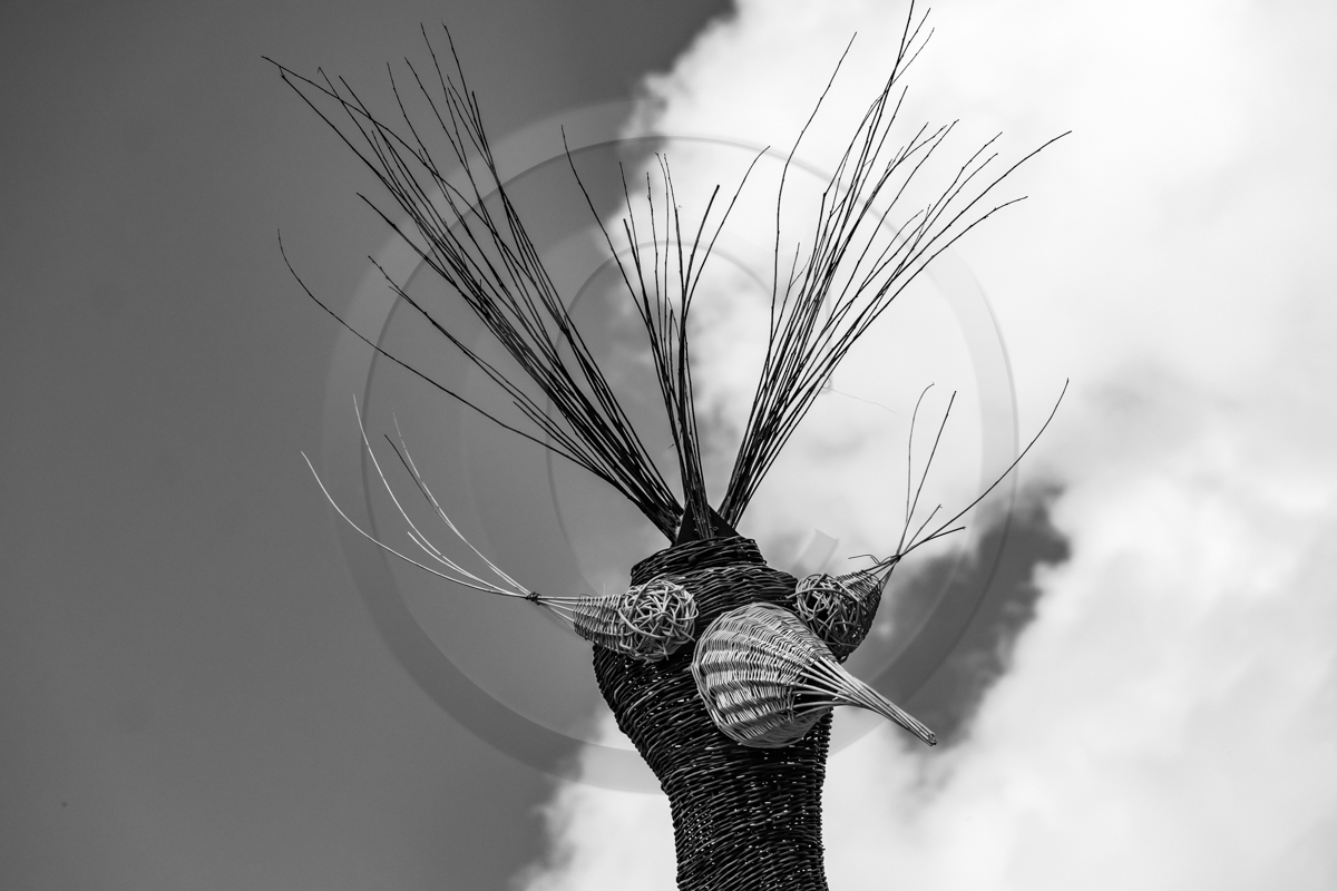 1er mai 2023 : manifestation à Gap (Hautes-Alpes)