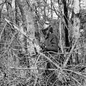 Elagage - 08 03 2017