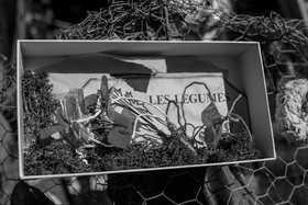 10 octobre 2025 : Journée des aidants