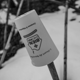 21 janvier 2021 : l'Ouort sous la neige