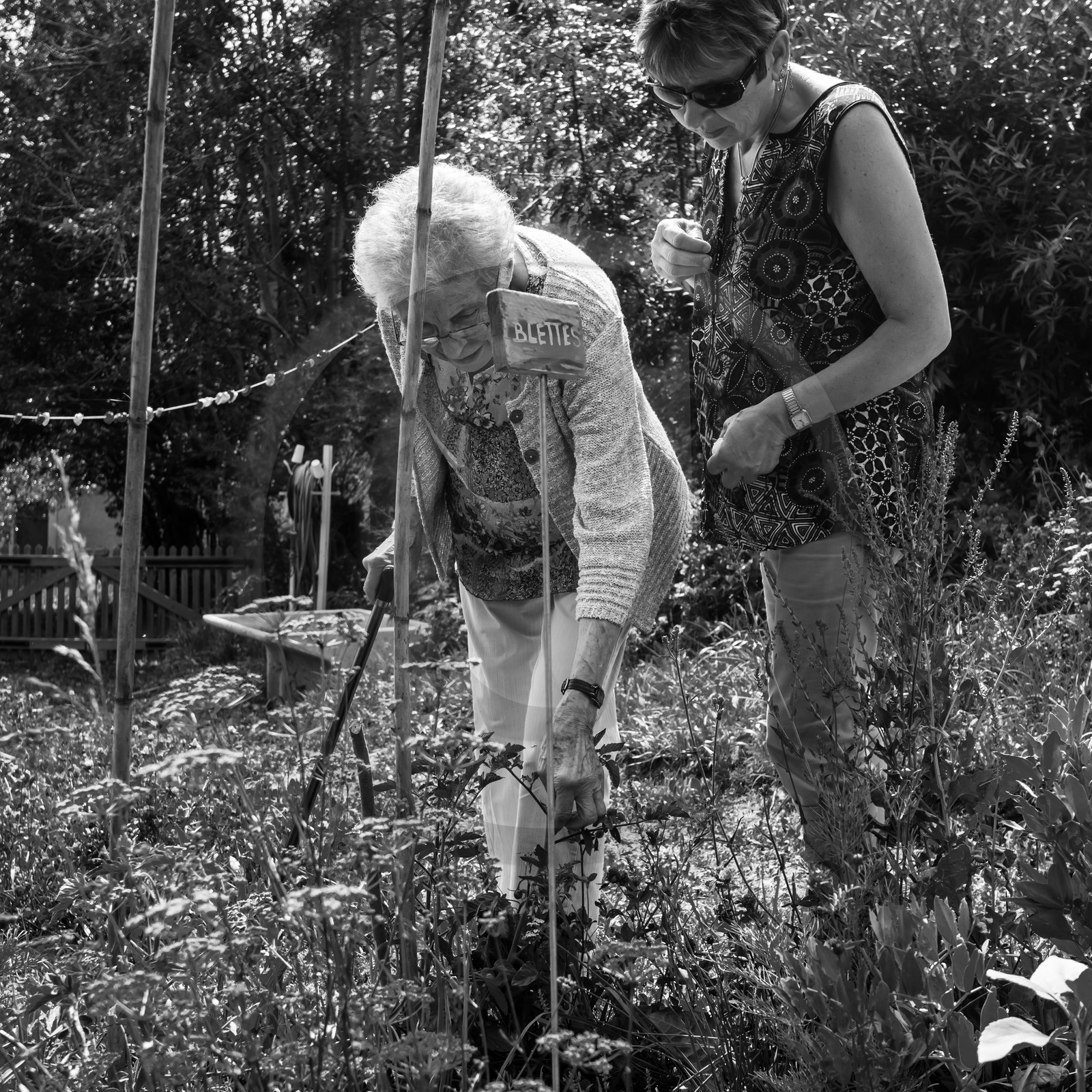 17 juillet 2019 : massages assis 17 juillet 2019 : massages assis