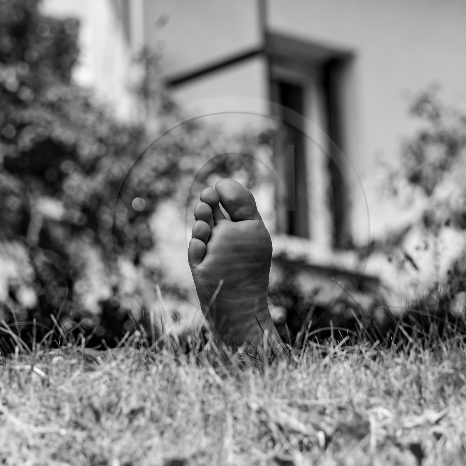 21 juillet 2021 : Sieste musicale avec Matthieu Duval 21 juillet 2021 : Sieste musicale avec Matthieu Duval